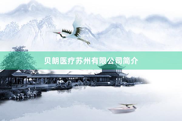 贝朗医疗苏州有限公司简介