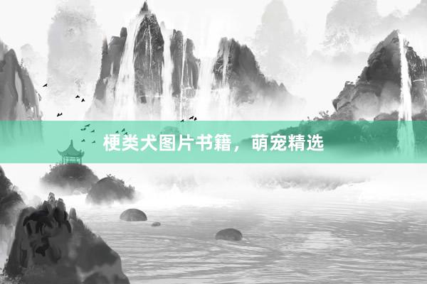 梗类犬图片书籍，萌宠精选